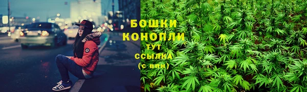 ГАЛЛЮЦИНОГЕННЫЕ ГРИБЫ Горно-Алтайск
