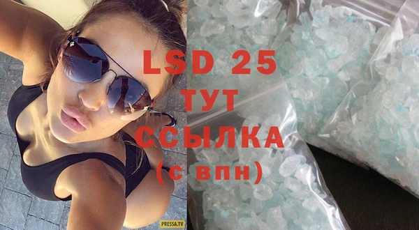 ГАЛЛЮЦИНОГЕННЫЕ ГРИБЫ Горно-Алтайск