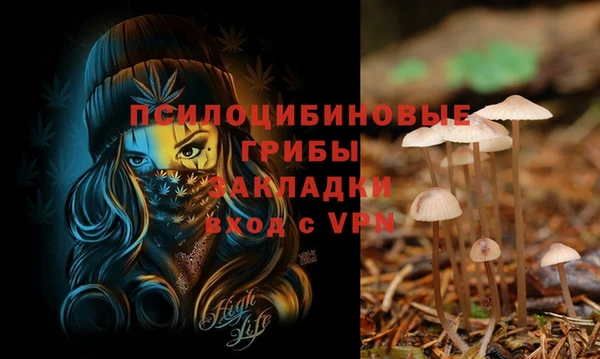а пвп мука Вязники
